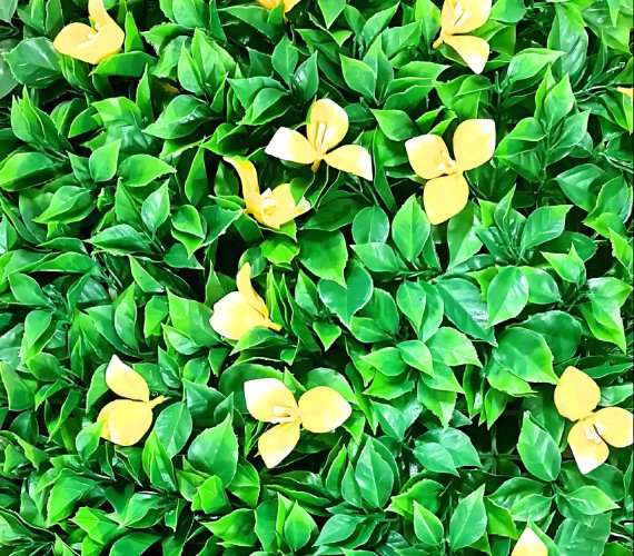 vertical-garden
