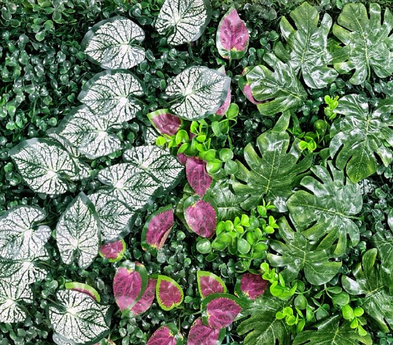 Artificial Vertical Garden